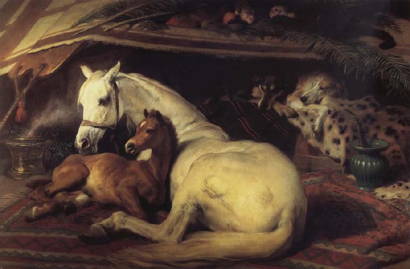 Sir Edwin Landseer The Arab Tent oil painting picture